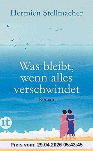 Was bleibt, wenn alles verschwindet: Roman (insel taschenbuch)