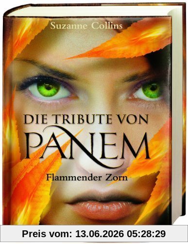 Die Tribute von Panem 3. Flammender Zorn