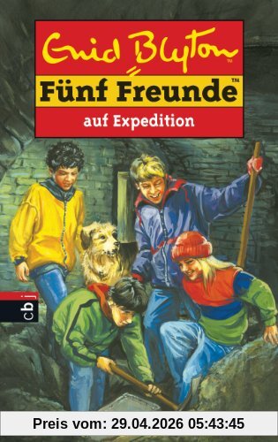 Fünf Freunde, Neue Abenteuer, Bd.30, Fünf Freunde auf Expedition