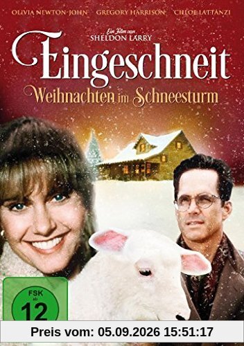 Eingeschneit - Weihnachten im Schneesturm