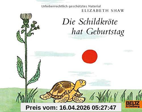 Die Schildkröte hat Geburtstag: Vierfarbiges Bilderbuch