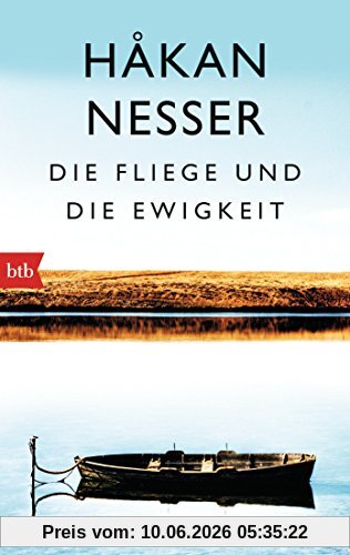 Die Fliege und die Ewigkeit: Roman