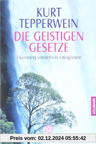 Die Geistigen Gesetze: Erkennen, verstehen, integrieren