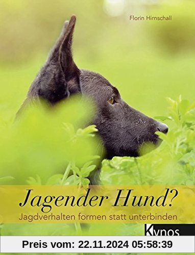 Jagender Hund?: Jagdverhalten formen statt unterbinden