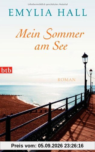 Mein Sommer am See: Roman