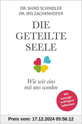 Die geteilte Seele - Wie wir eins mit uns werden