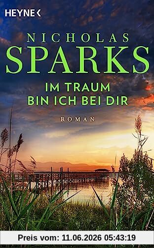 Im Traum bin ich bei dir: Roman