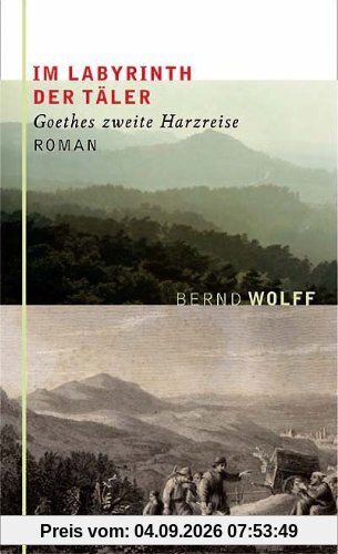 Im Labyrinth der Täler: Goethes zweite Harzreise. Roman