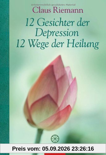 12 Gesichter der Depression - 12 Wege der Heilung
