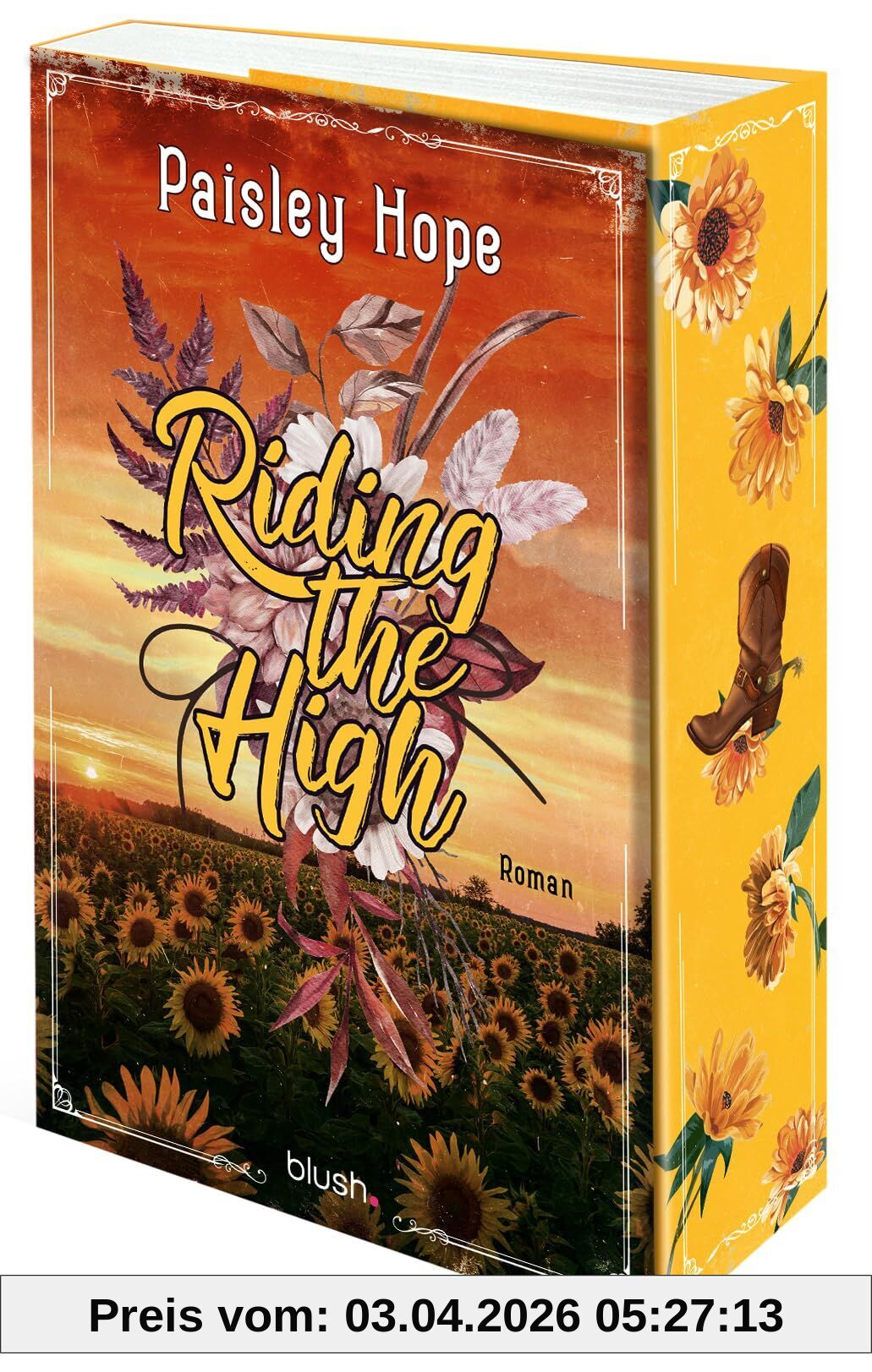 Riding The High: Roman - Die spicy Cowboy-Romance endlich auf Deutsch!