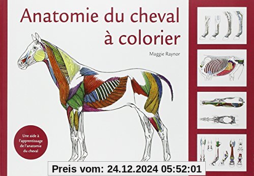 Anatomie du cheval à colorier : Une aide à l'apprentissage de l'anatomie du cheval