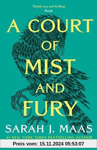 A Court of Mist and Fury (A Court of Thorns and Roses, Band 9)