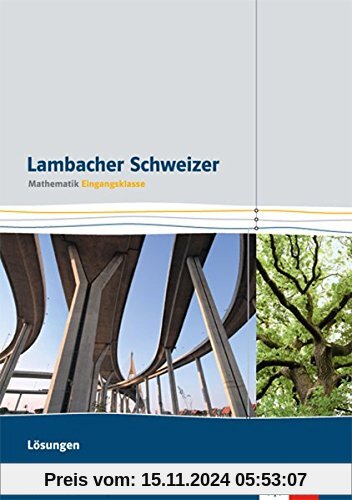 Lambacher Schweizer für berufliche Gymnasien in Baden-Württemberg / Lösungsheft Eingangsklasse: 11. Schuljahr