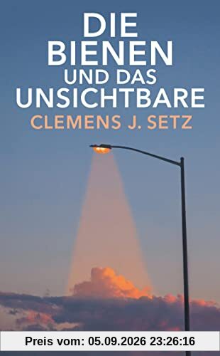 Die Bienen und das Unsichtbare (suhrkamp taschenbuch)