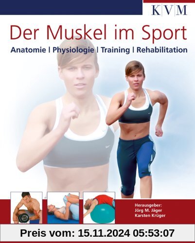 Der Muskel im Sport: Anatomie, Physiologie, Training, Rehabilitation