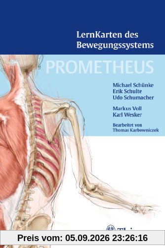 PROMETHEUS LernKarten des Bewegungssystems