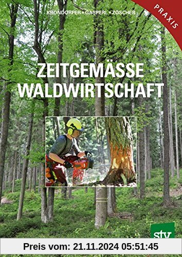 Zeitgemässe Waldwirtschaft