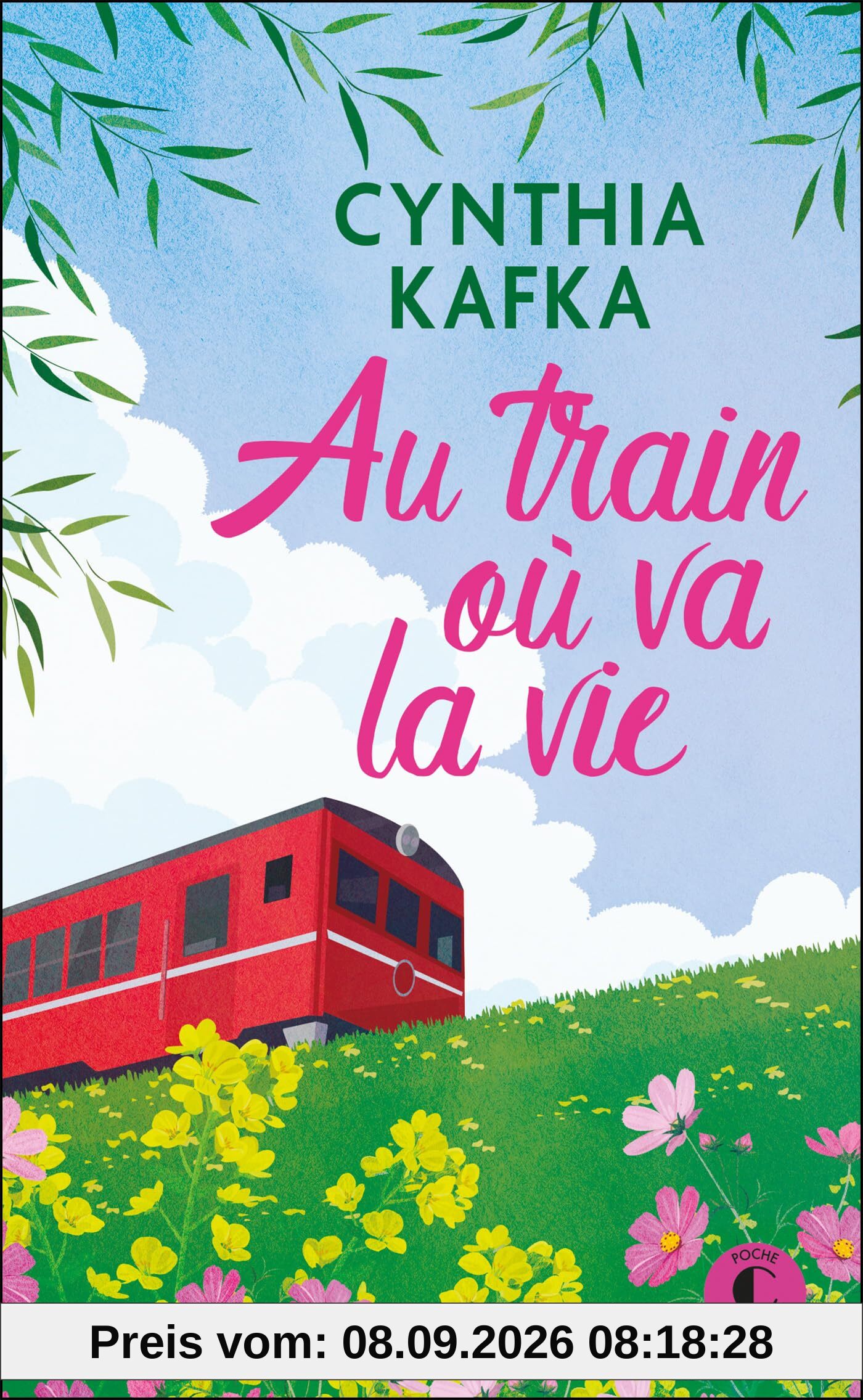Au train où va la vie