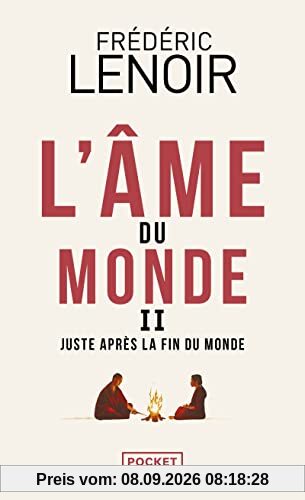 L'âme du monde. Vol. 2. Juste après la fin du monde