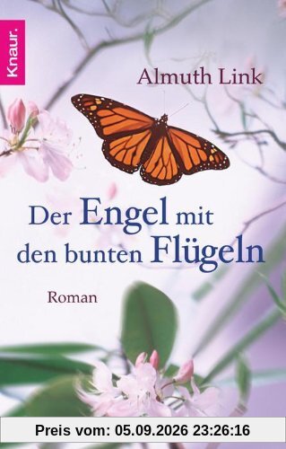 Der Engel mit den bunten Flügeln: Roman