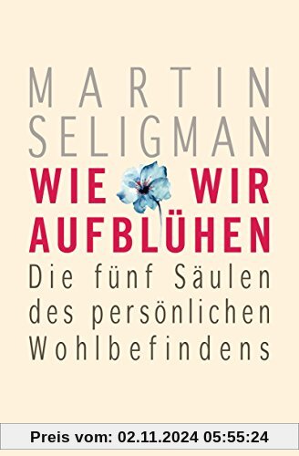 Wie wir aufblühen: Die fünf Säulen des persönlichen Wohlbefindens