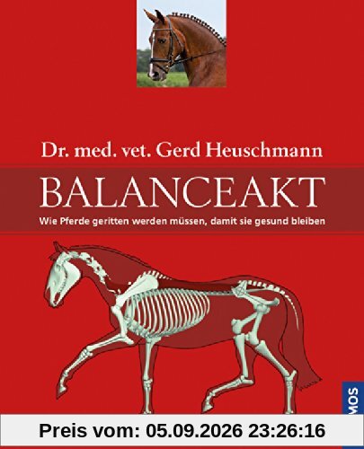 Balanceakt: Wie Pferde geritten werden müssen, damit sie gesund bleiben