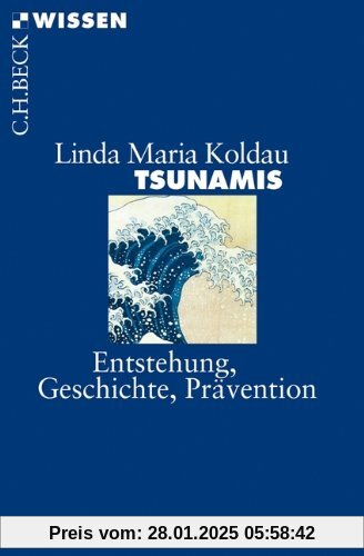 Tsunamis: Entstehung, Geschichte, Prävention