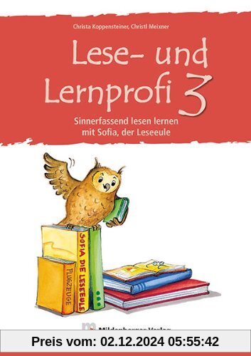 Lese-u.Lernprofi 3: Sinnerfassend lesen lernen mit Sofia, der Lese-Eule, Arbeitsheft