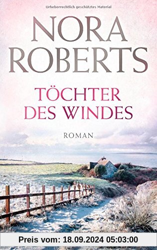 Töchter des Windes: Roman