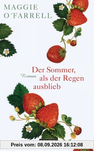 Der Sommer, als der Regen ausblieb: Roman