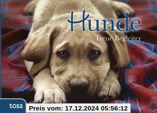 Hunde: Treue Begleiter