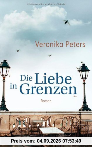 Die Liebe in Grenzen: Roman