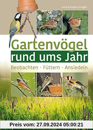 Gartenvögel rund ums Jahr: Beobachten – Füttern – Ansiedeln