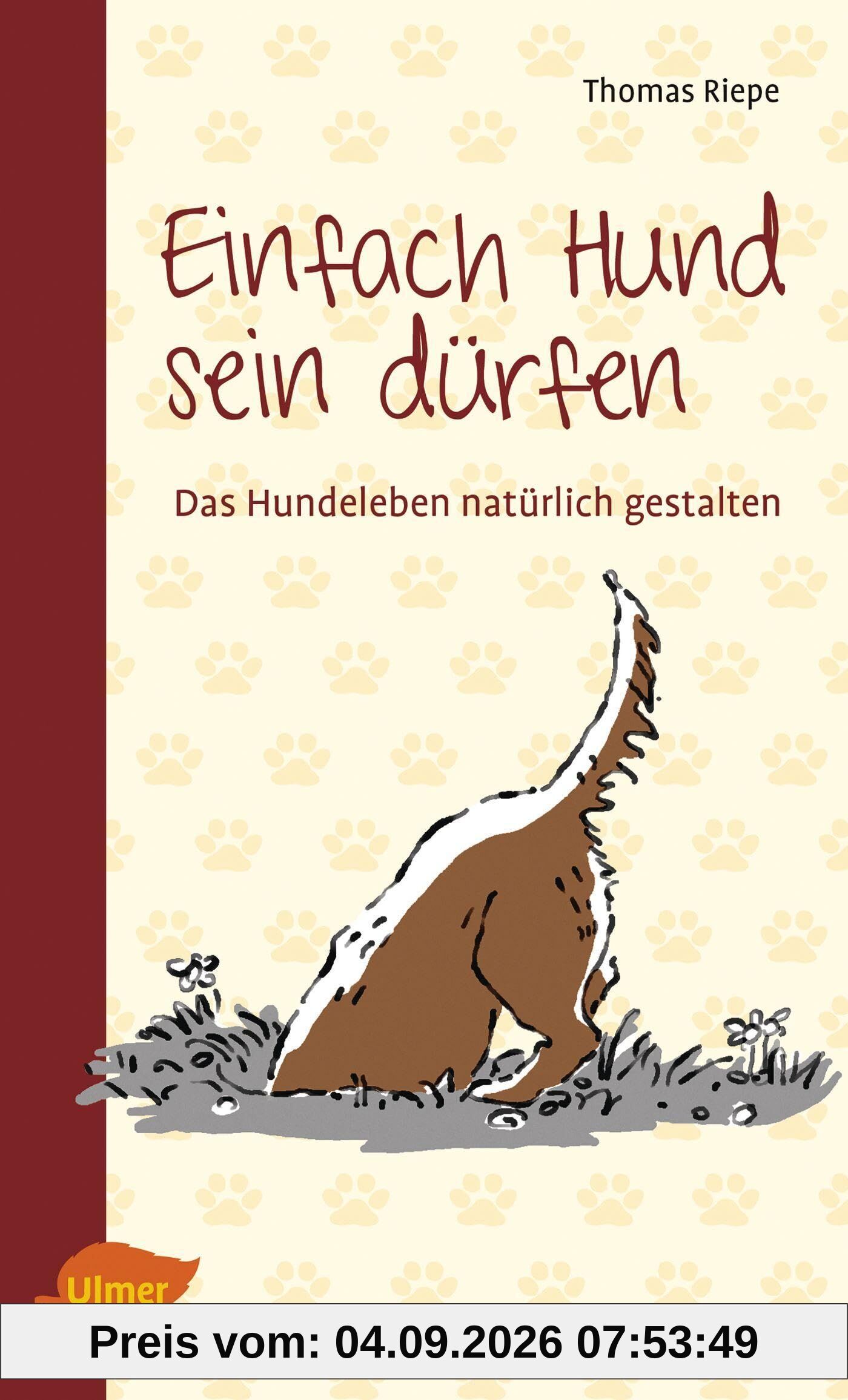 Einfach Hund sein dürfen