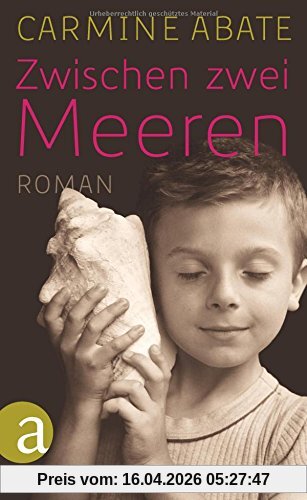 Zwischen zwei Meeren: Roman