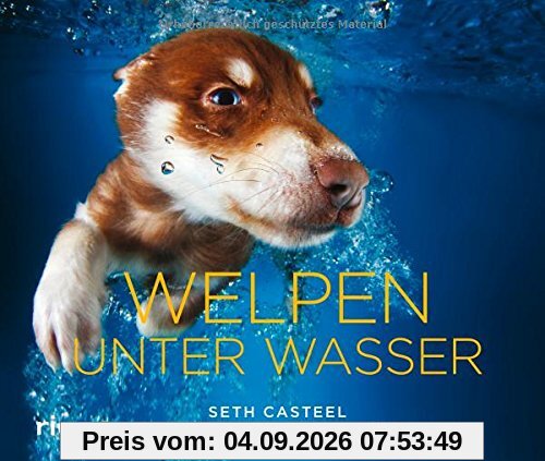 Welpen unter Wasser