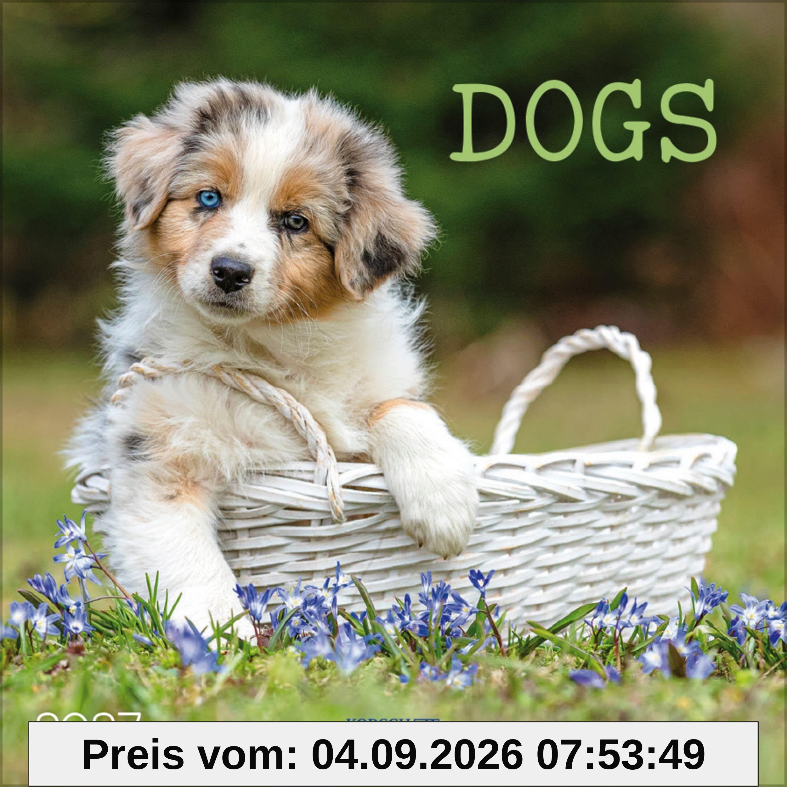 Dogs 2027