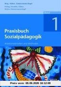 Praxisbuch Sozialpädagogik - Band 1. Arbeitsmaterialien und Methoden