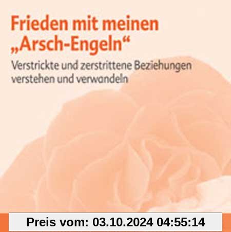 Frieden mit meinen Arsch-Engeln - Meditations-CD: Verstrickte und verstrittene Beziehungen verstehen und verwandeln