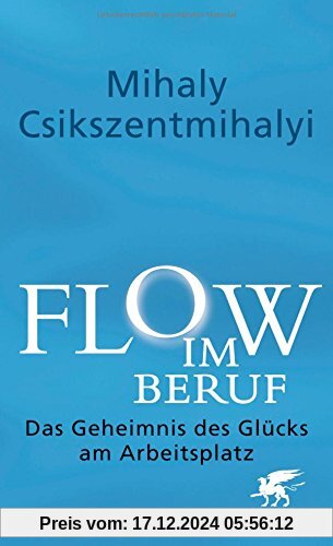 Flow im Beruf: Das Geheimnis des Glücks am Arbeitsplatz