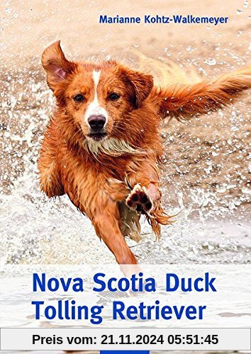 Nova Scotia Duck Tolling Retriever