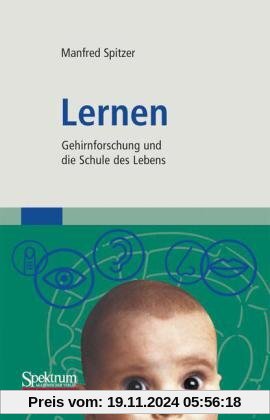 Lernen: Gehirnforschung und die Schule des Lebens