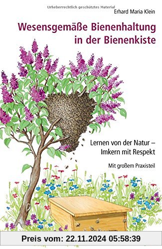 Wesensgemäße Bienenhaltung in der Bienenkiste: Lernen von der Natur - Imkern mit Respekt