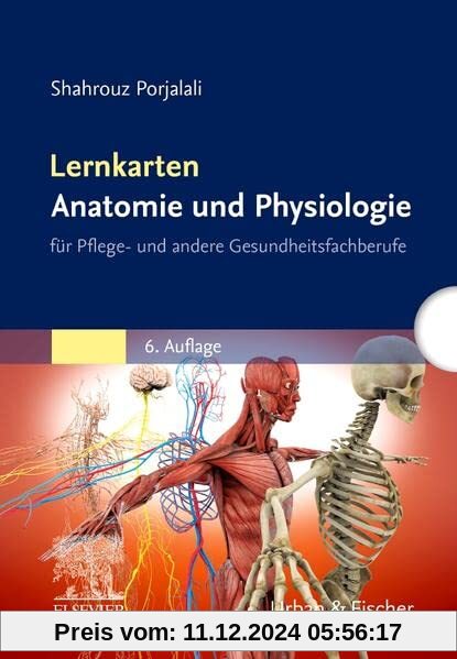 Lernkarten Anatomie und Physiologie: für Pflege- und andere Gesundheitsfachberufe