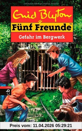 Fünf Freunde - Gefahr im Bergwerk: Band 67