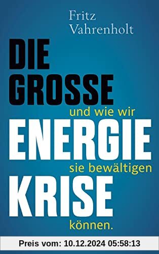 Die große Energiekrise: ... und wie wir sie bewältigen können