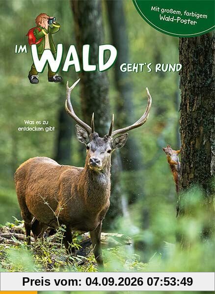 Im Wald geht's rund - mit großem, farbigem Poster: Was es zu entdecken gibt