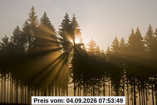 Das wahre Leben der Bäume: Ein Buch gegen eingebildeten Umweltschutz