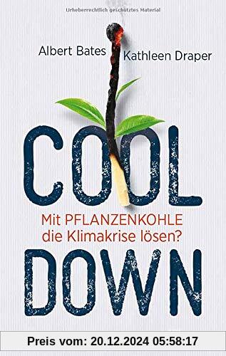 Cool down: Mit Pflanzenkohle die Klimakrise lösen?