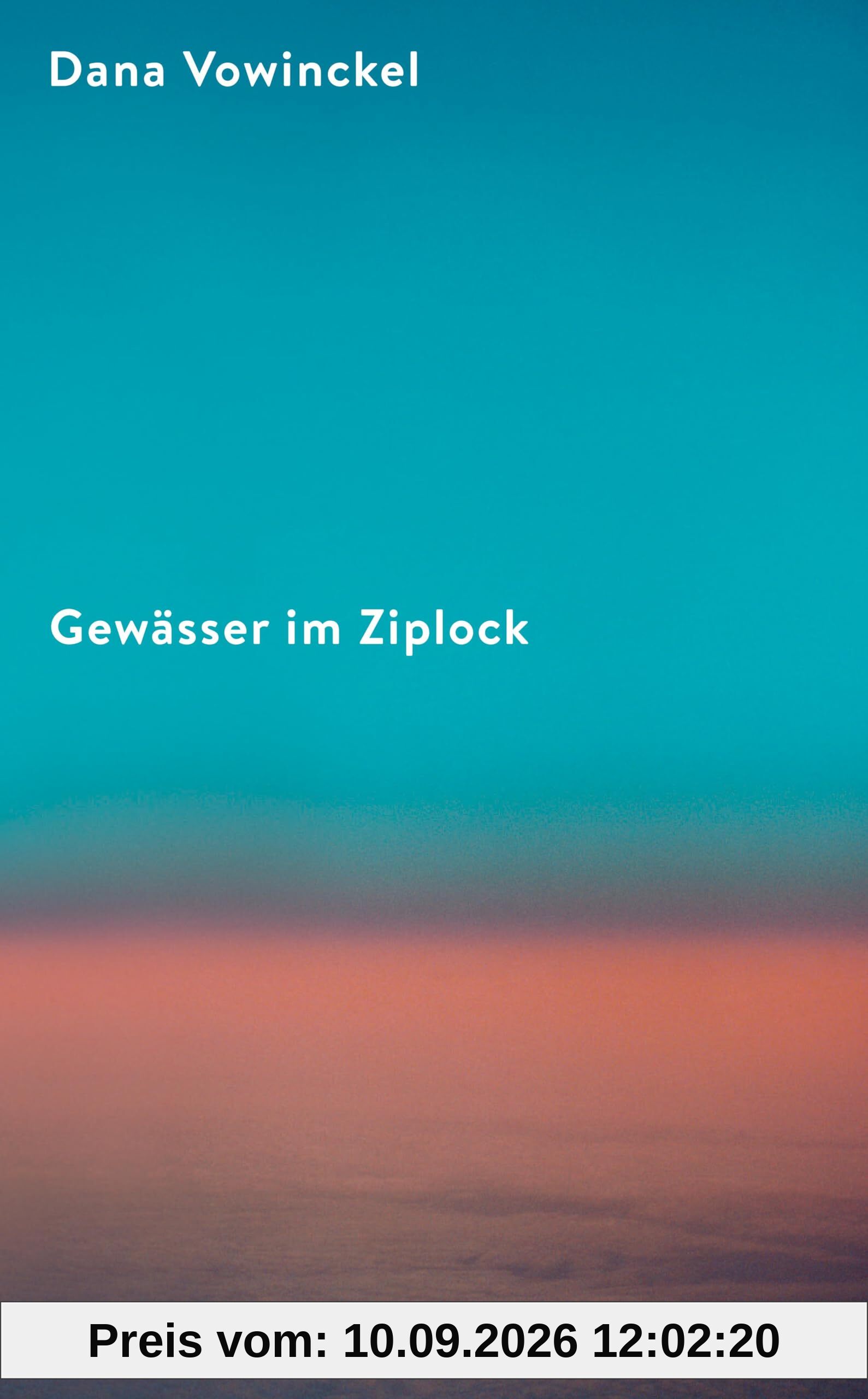 Gewässer im Ziplock: Roman | Ein mitreißendes Porträt jüdischen Familienlebens heute